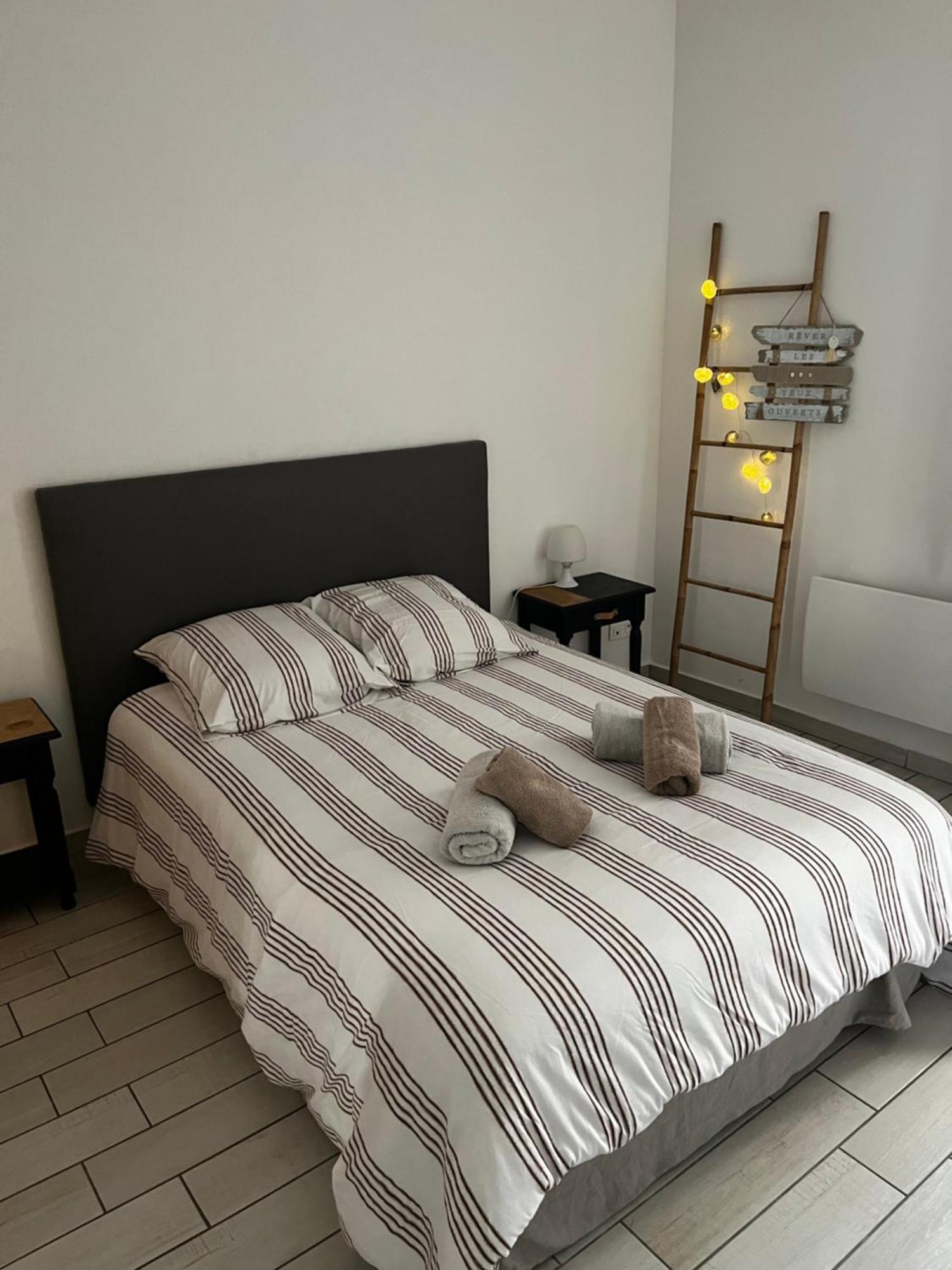 Joli Appartement Hypercentre T2, Classe Meuble De Tourisme 3 Avec Parking Gratuit ベジエ エクステリア 写真