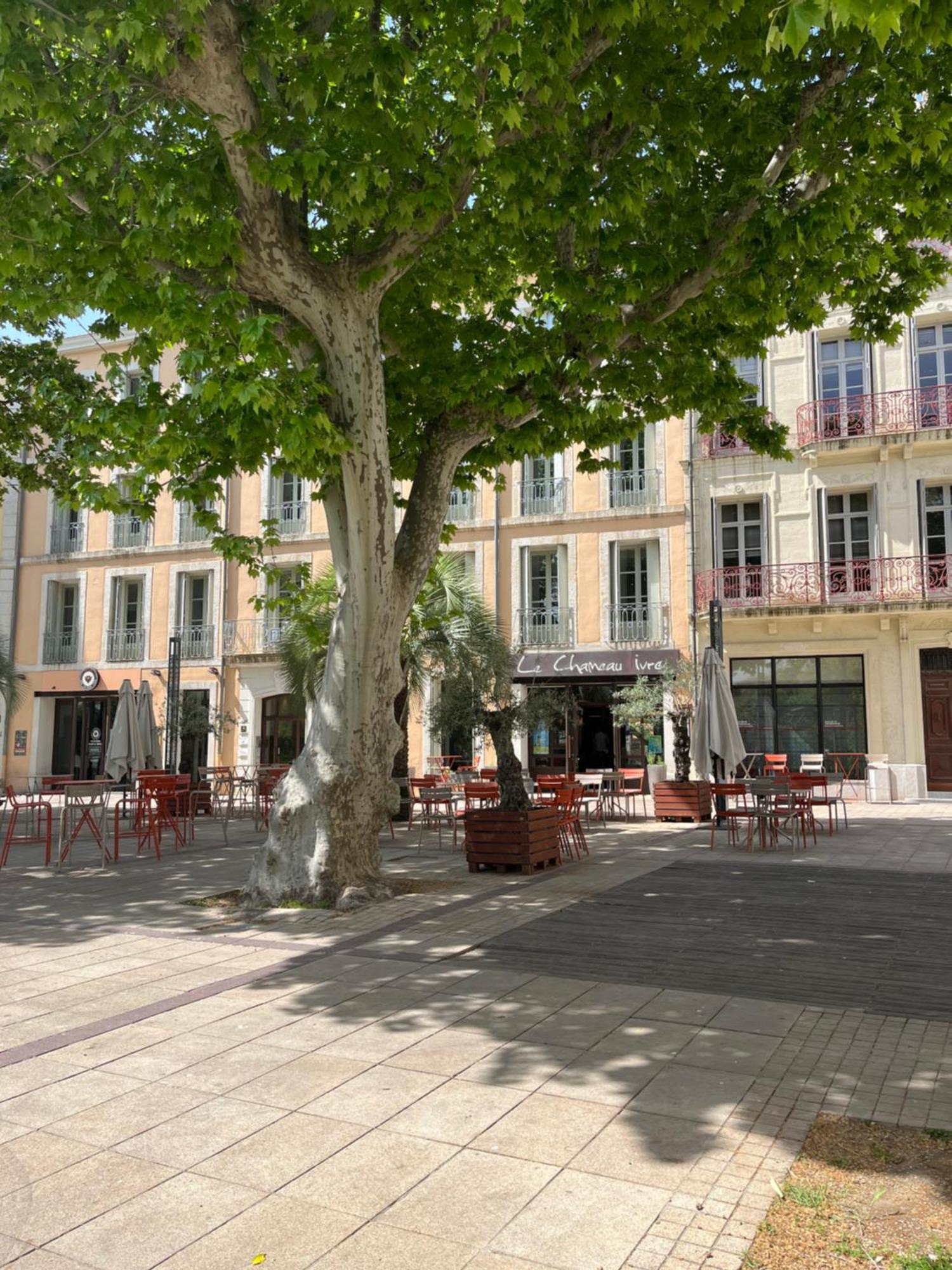 Joli Appartement Hypercentre T2, Classe Meuble De Tourisme 3 Avec Parking Gratuit ベジエ エクステリア 写真